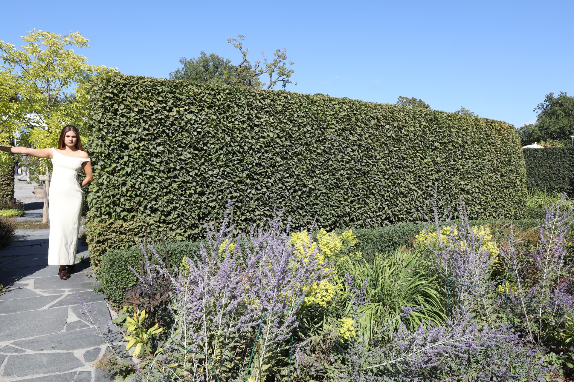 Person in a white sweater sitting in front of a green hedge